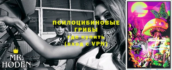 apvp Богородск