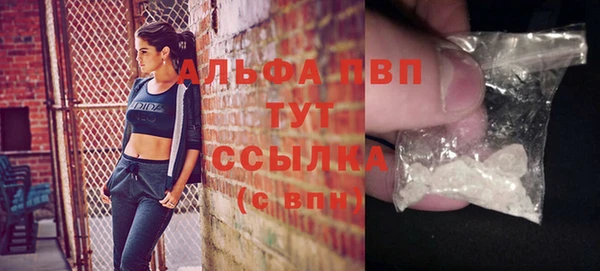 молекула духа Белокуриха