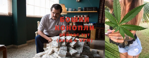 apvp Богородск
