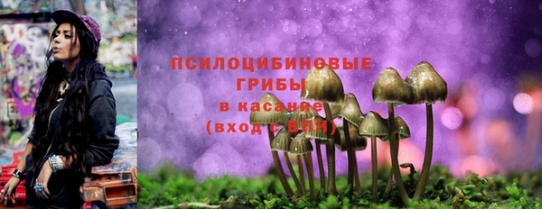 MESCALINE Богородицк