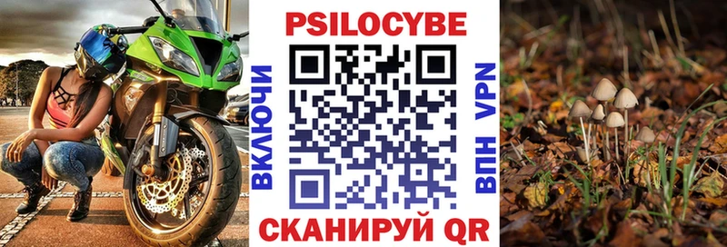 Псилоцибиновые грибы GOLDEN TEACHER купить Чулым